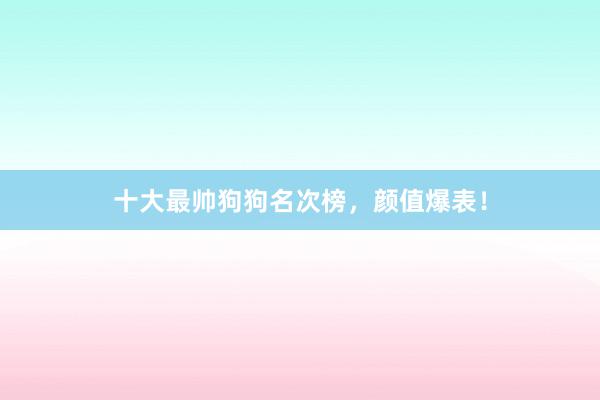 十大最帅狗狗名次榜,颜值爆表!
