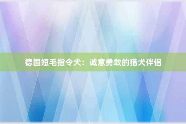 德国短毛指令犬：诚意勇敢的猎犬伴侣