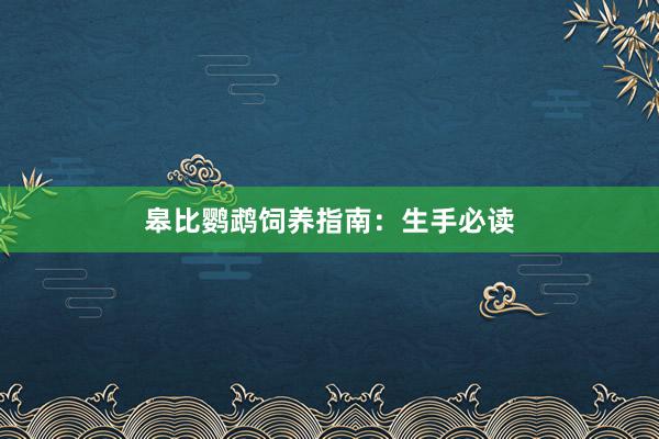 皋比鹦鹉饲养指南：生手必读