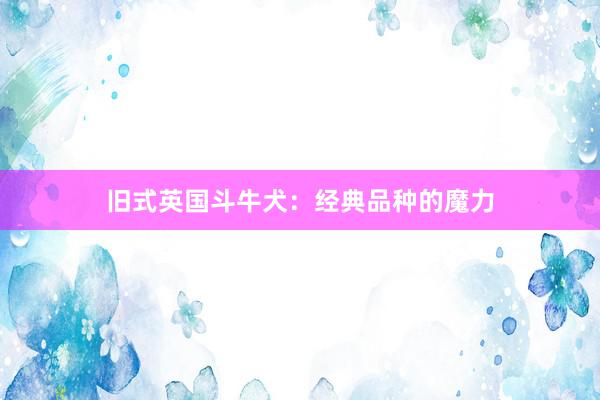 旧式英国斗牛犬：经典品种的魔力